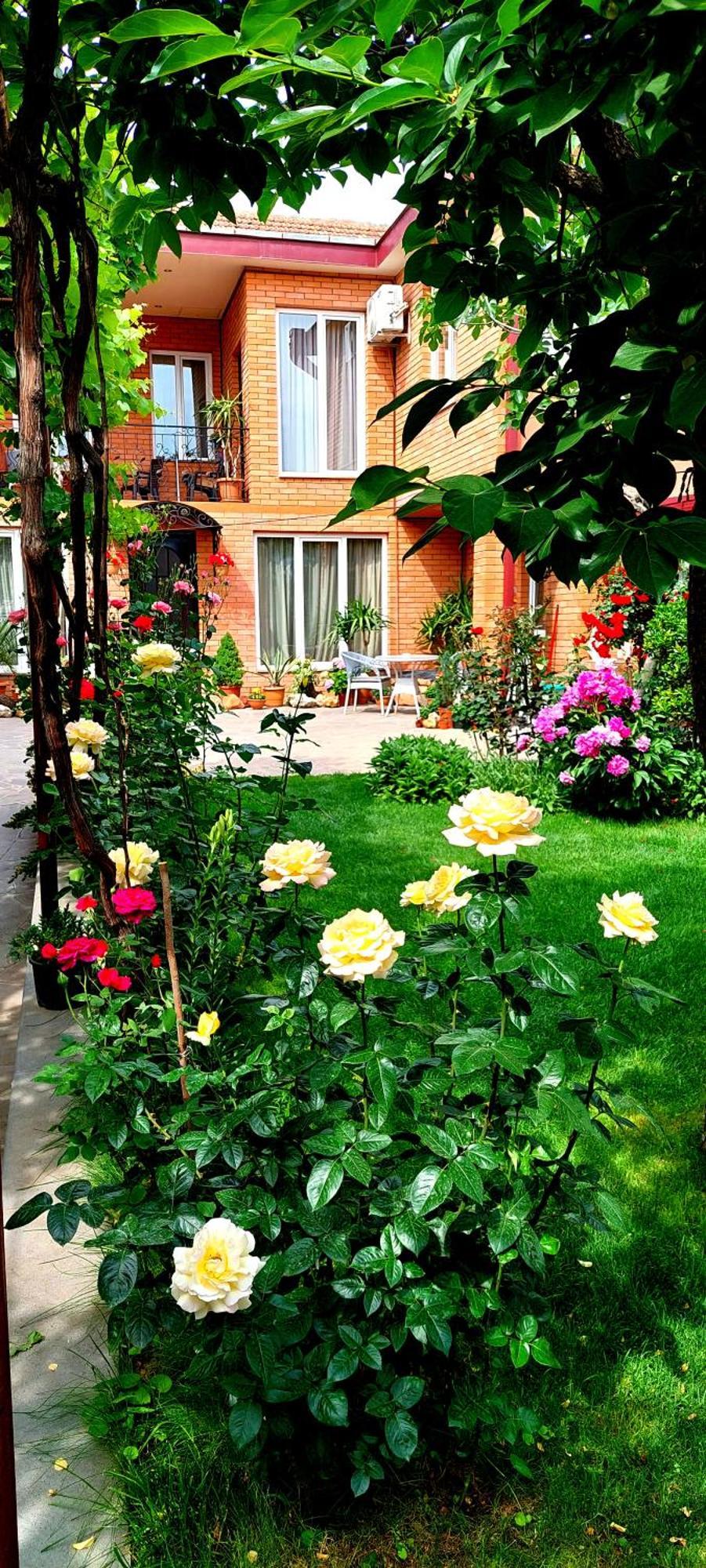 Garden Apartment