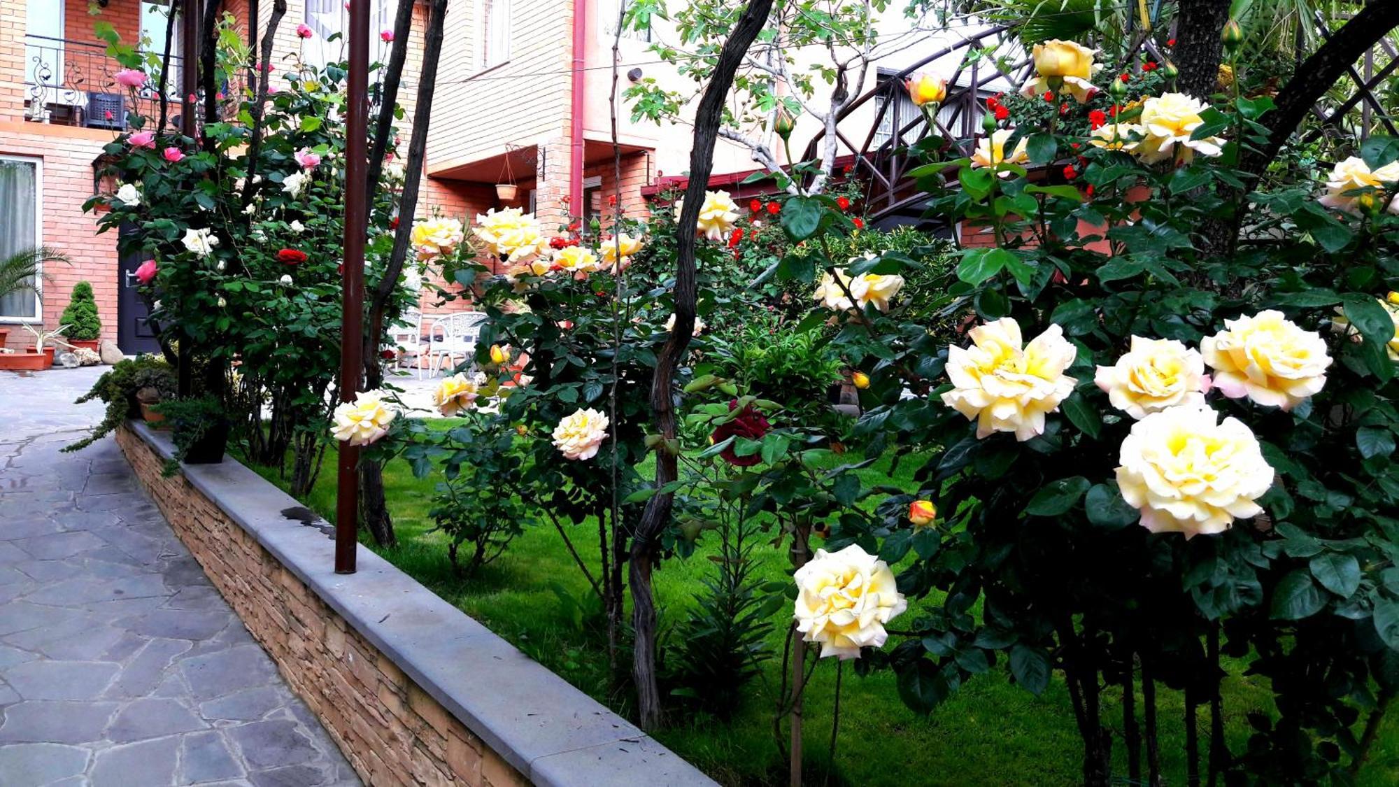 Apartment Garden Tbilisi