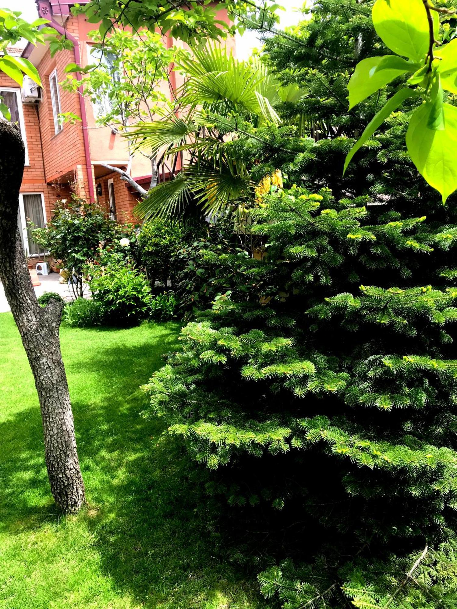 Garden Apartment Tbilisi