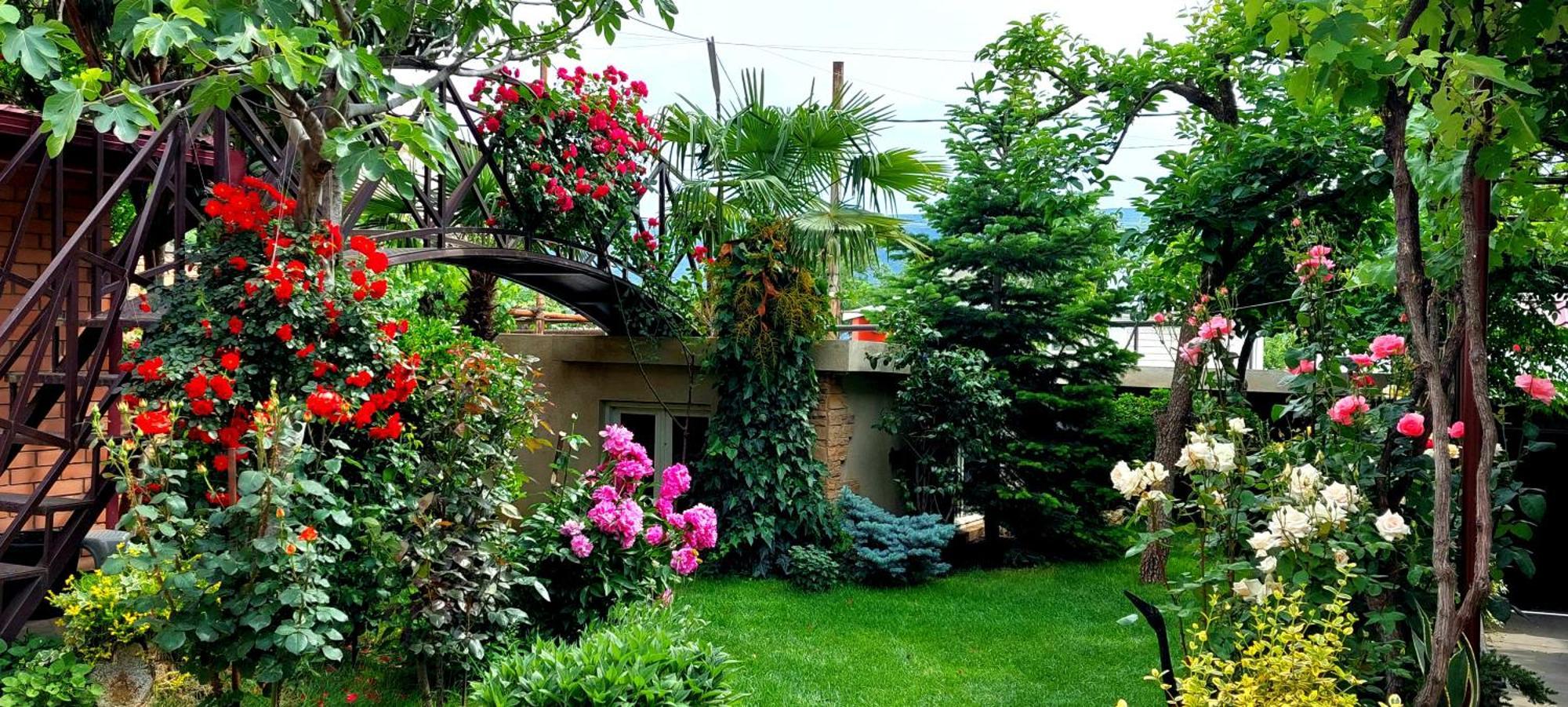 Garden *